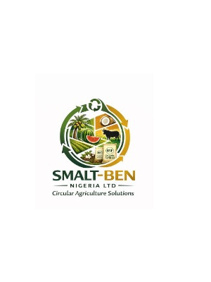 Benjamin Ojo, Smalt-ben Nigeria Limited